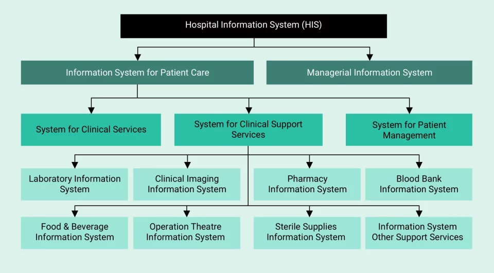 How do hospital information systems improve workflow efficiency and cut costs? introduction image